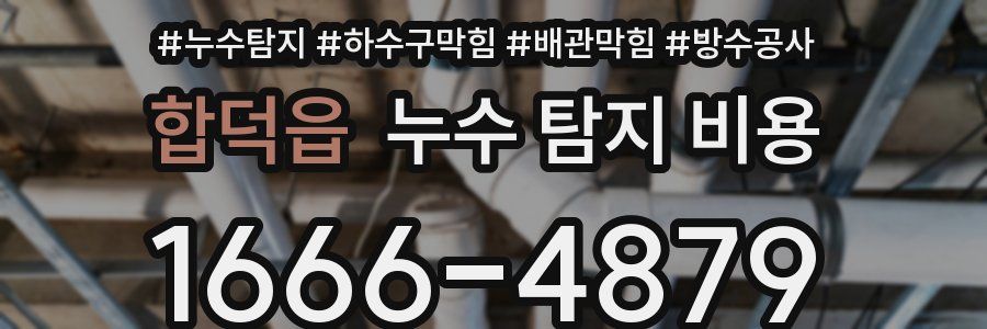 합덕읍 누수 탐지 비용