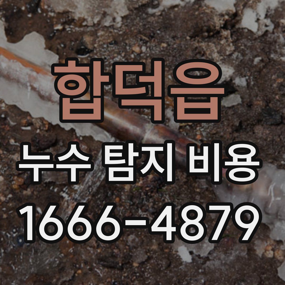 합덕읍 누수 탐지 비용