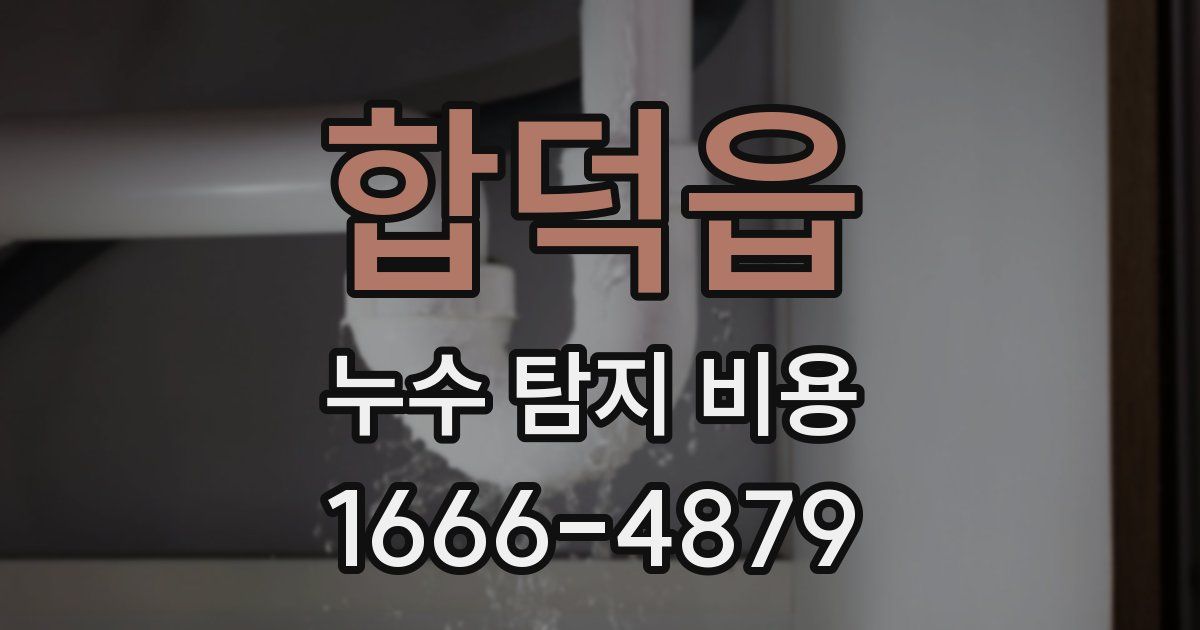 합덕읍 누수 탐지 비용