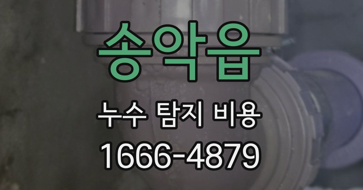 송악읍 누수 탐지 비용