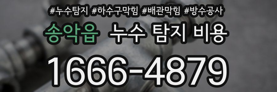 송악읍 누수 탐지 비용