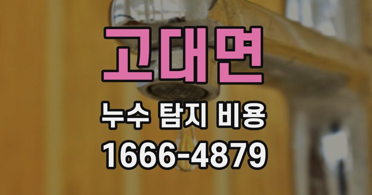 고대면 누수 탐지 비용