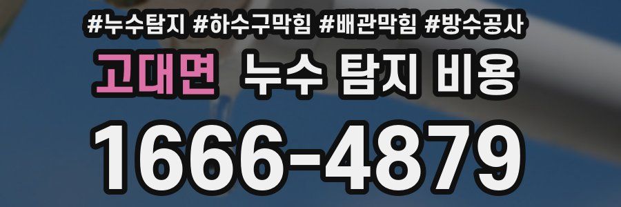 고대면 누수 탐지 비용
