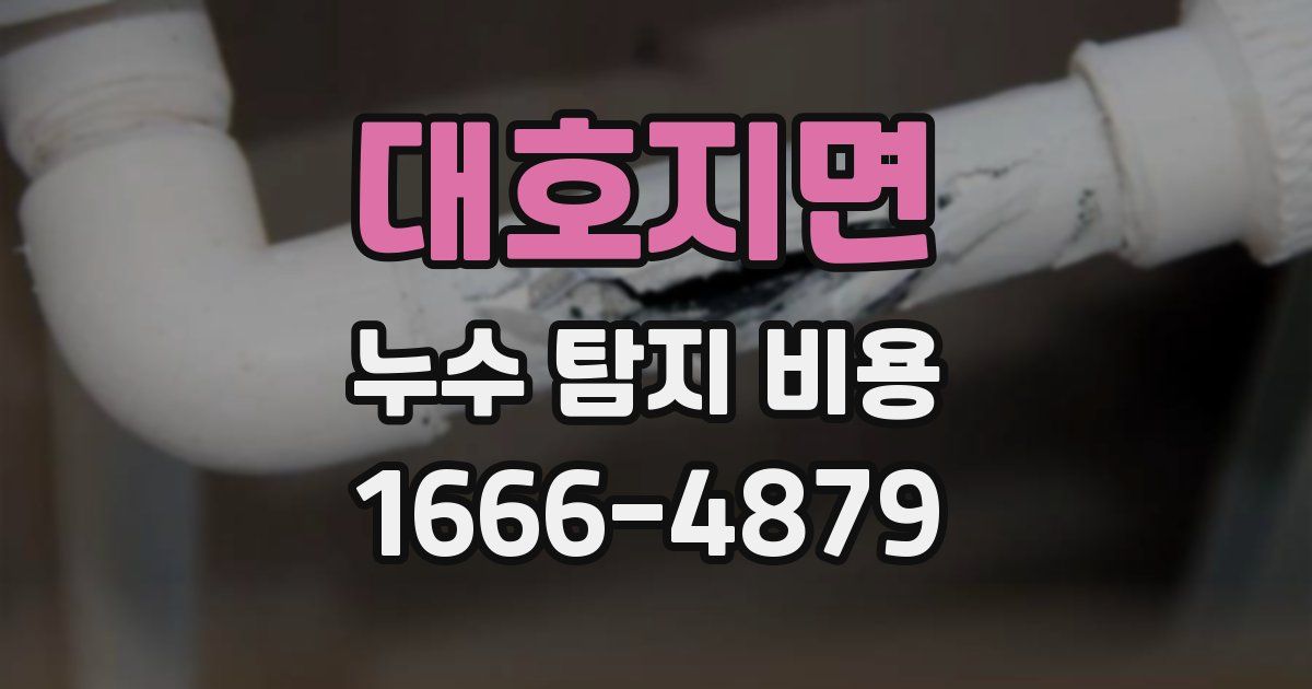 대호지면 누수 탐지 비용