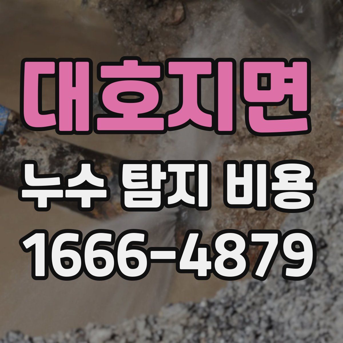 대호지면 누수 탐지 비용