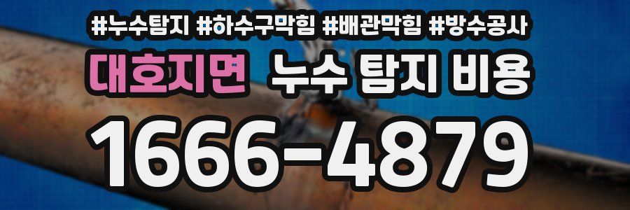 대호지면 누수 탐지 비용