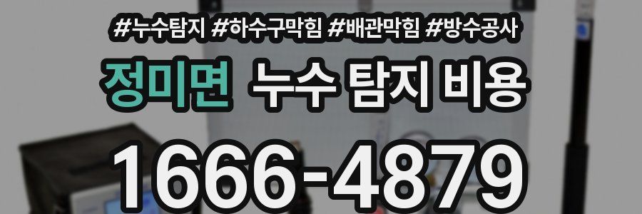 정미면 누수 탐지 비용