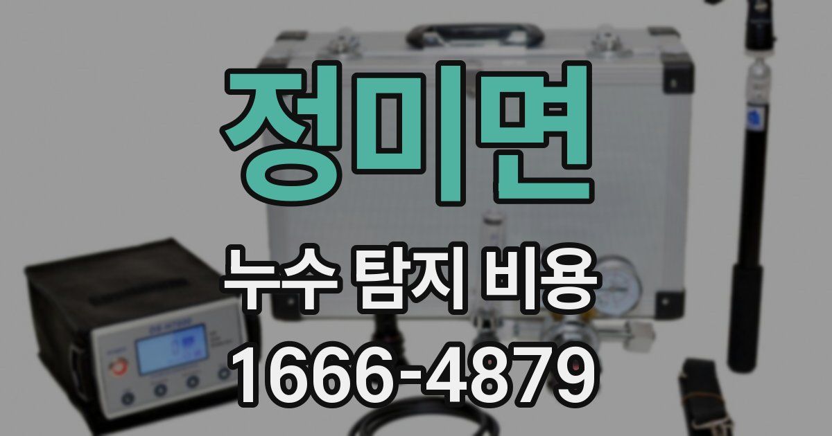 정미면 누수 탐지 비용