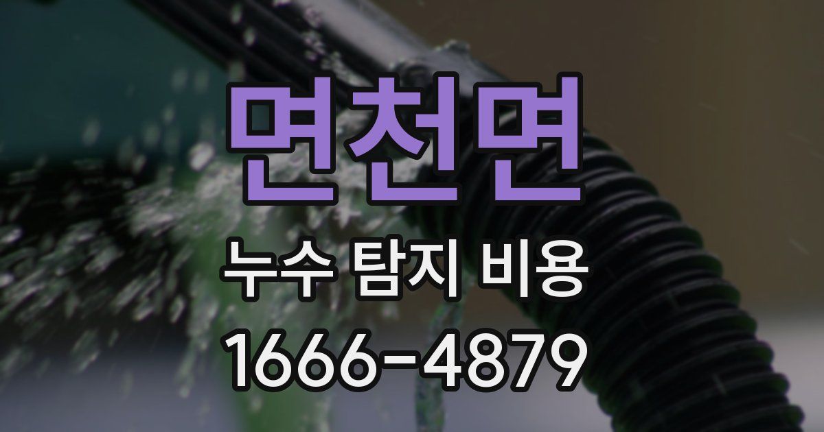 면천면 누수 탐지 비용