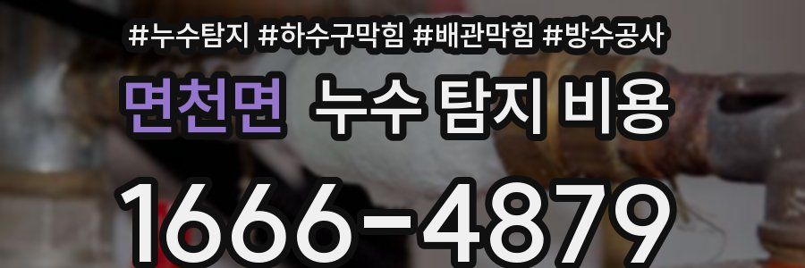 면천면 누수 탐지 비용