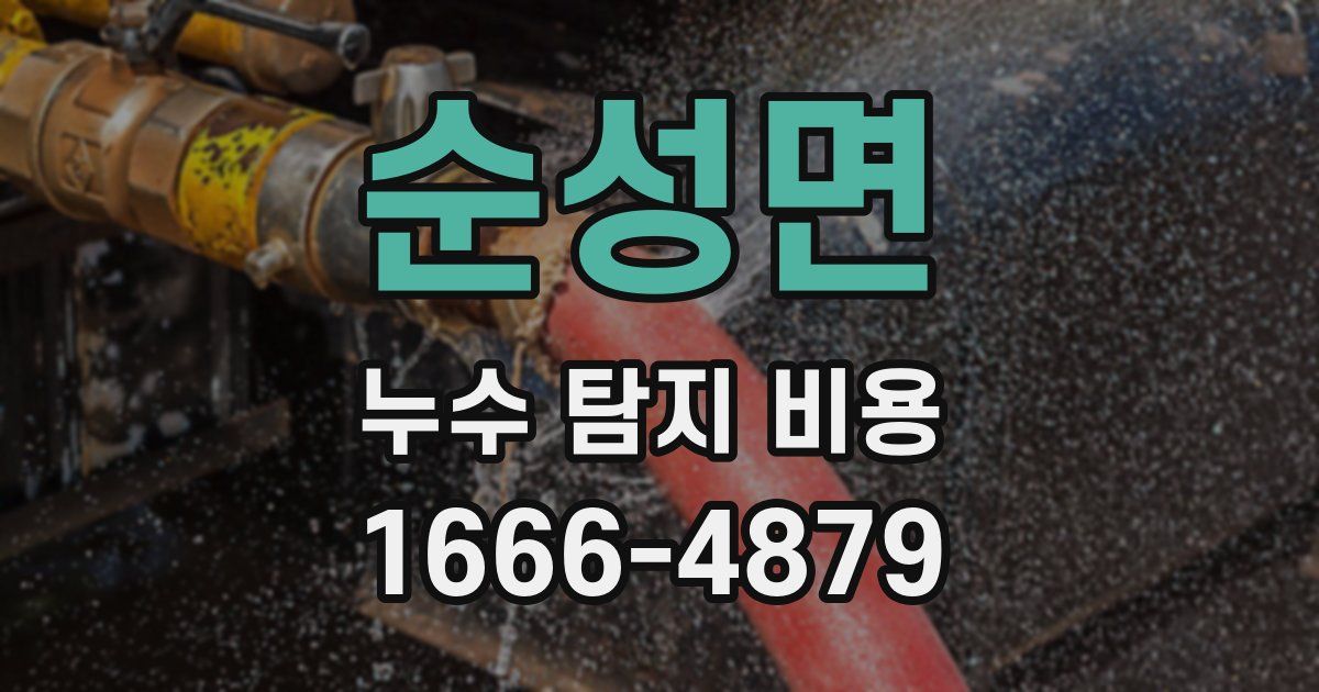 순성면 누수 탐지 비용