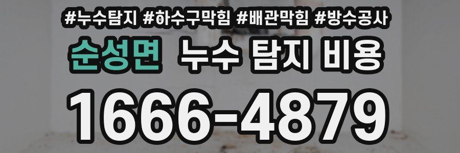 순성면 누수 탐지 비용