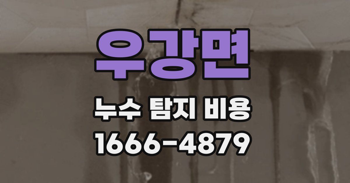 우강면 누수 탐지 비용