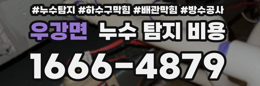 우강면 누수 탐지 비용