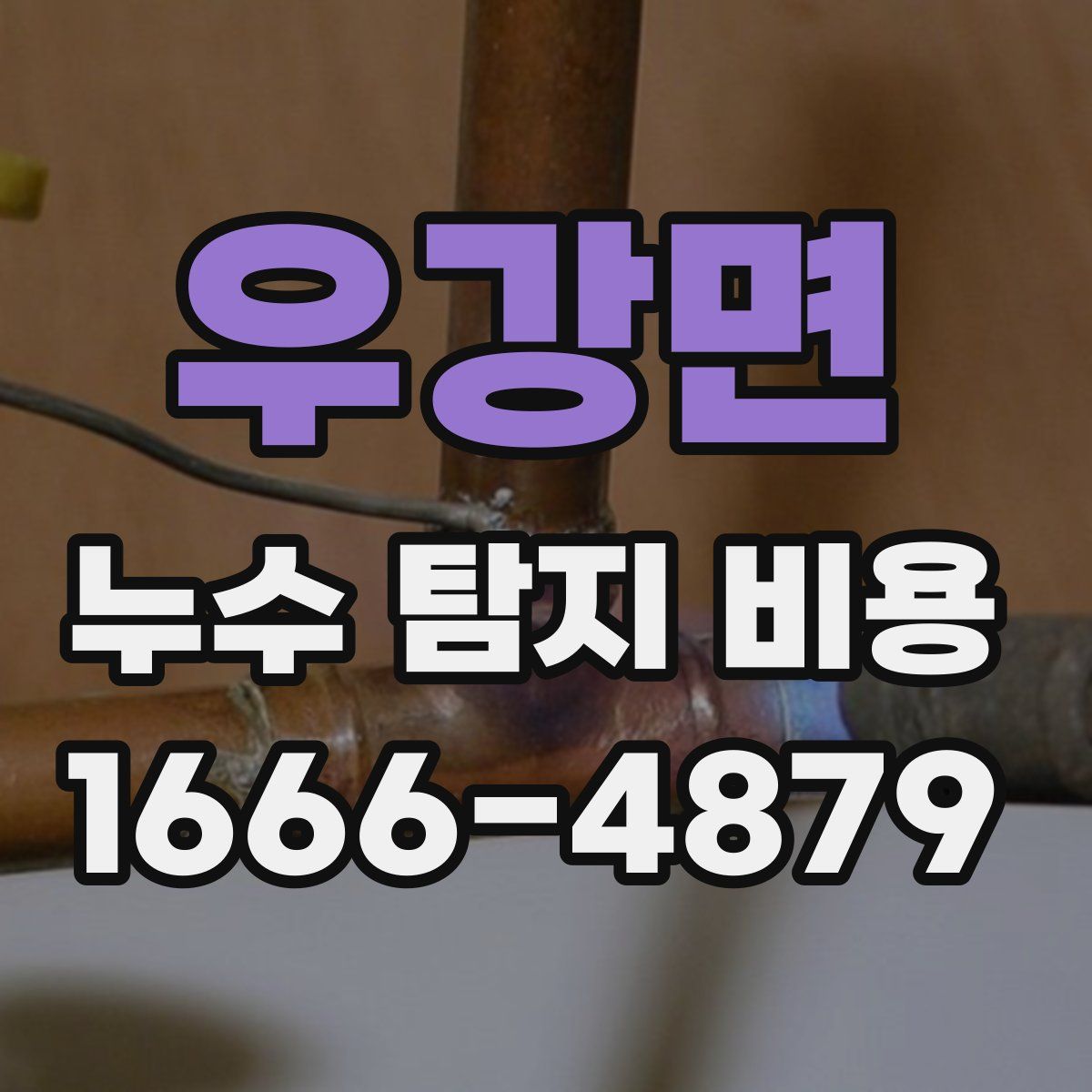 우강면 누수 탐지 비용