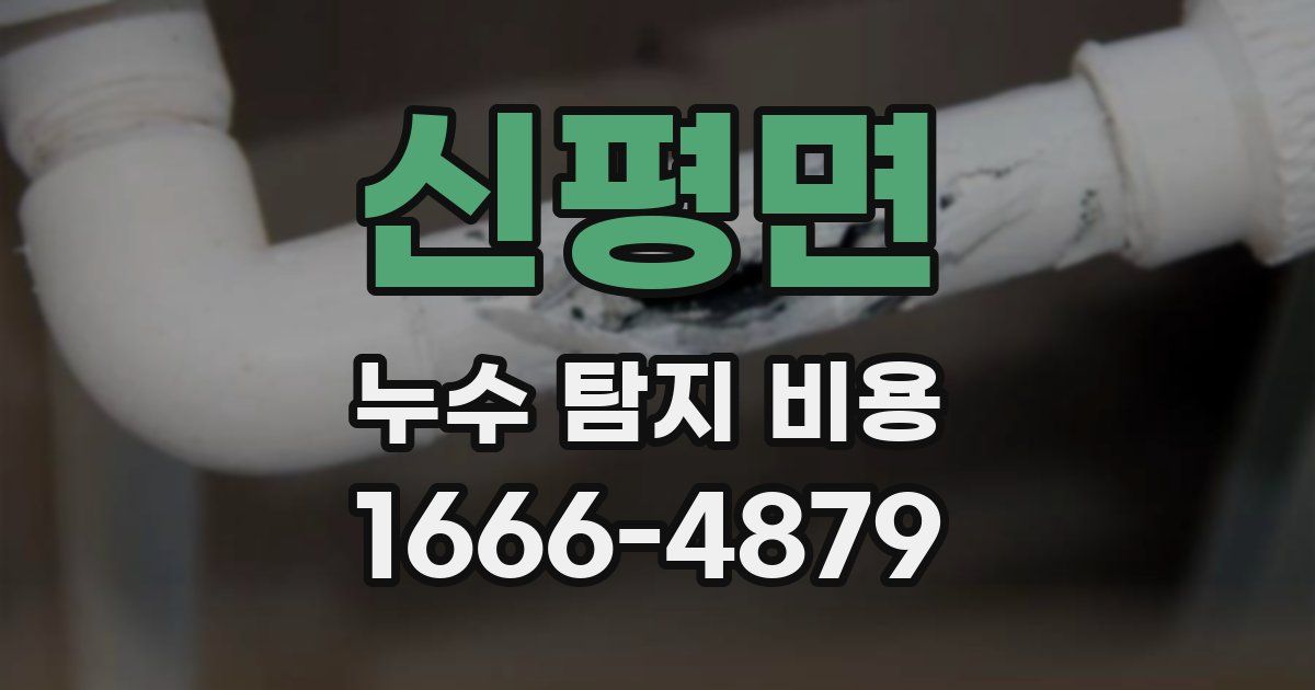 신평면 누수 탐지 비용