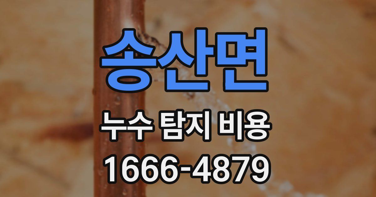 송산면 누수 탐지 비용