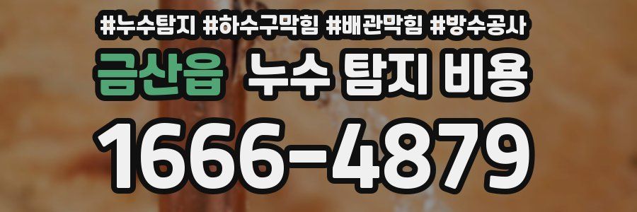 금산읍 누수 탐지 비용