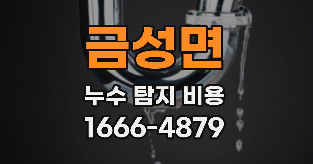 금성면 누수 탐지 비용