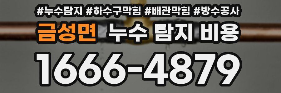 금성면 누수 탐지 비용