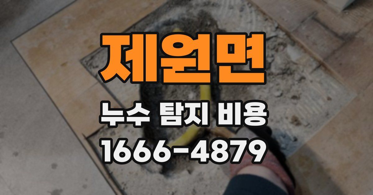 제원면 누수 탐지 비용
