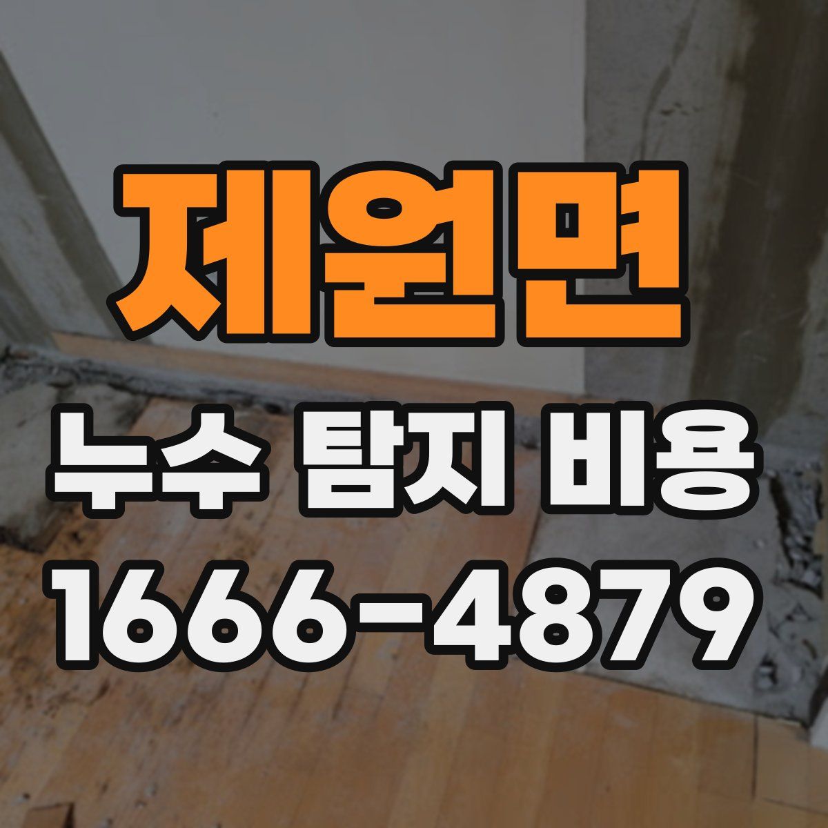 제원면 누수 탐지 비용