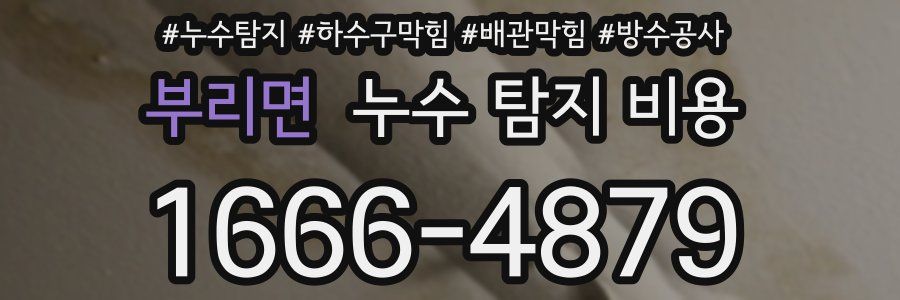 부리면 누수 탐지 비용