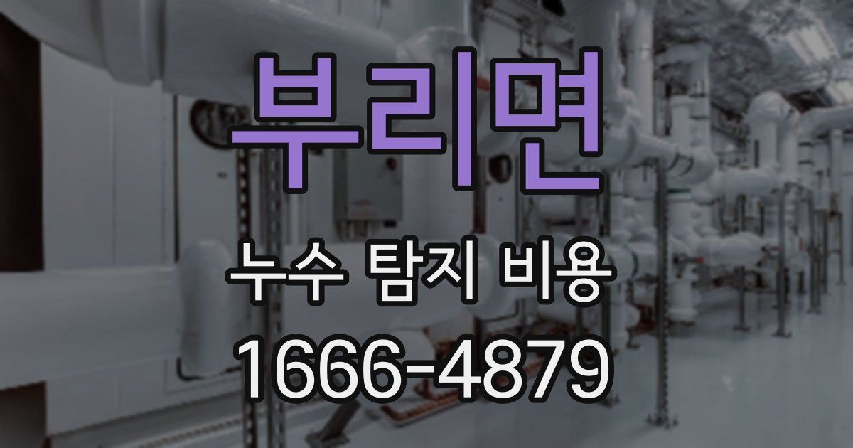 부리면 누수 탐지 비용