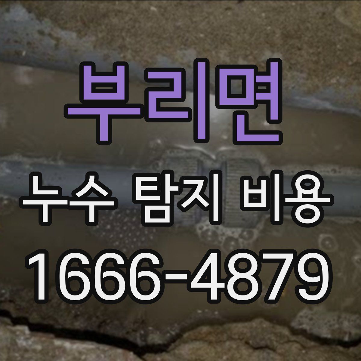 부리면 누수 탐지 비용