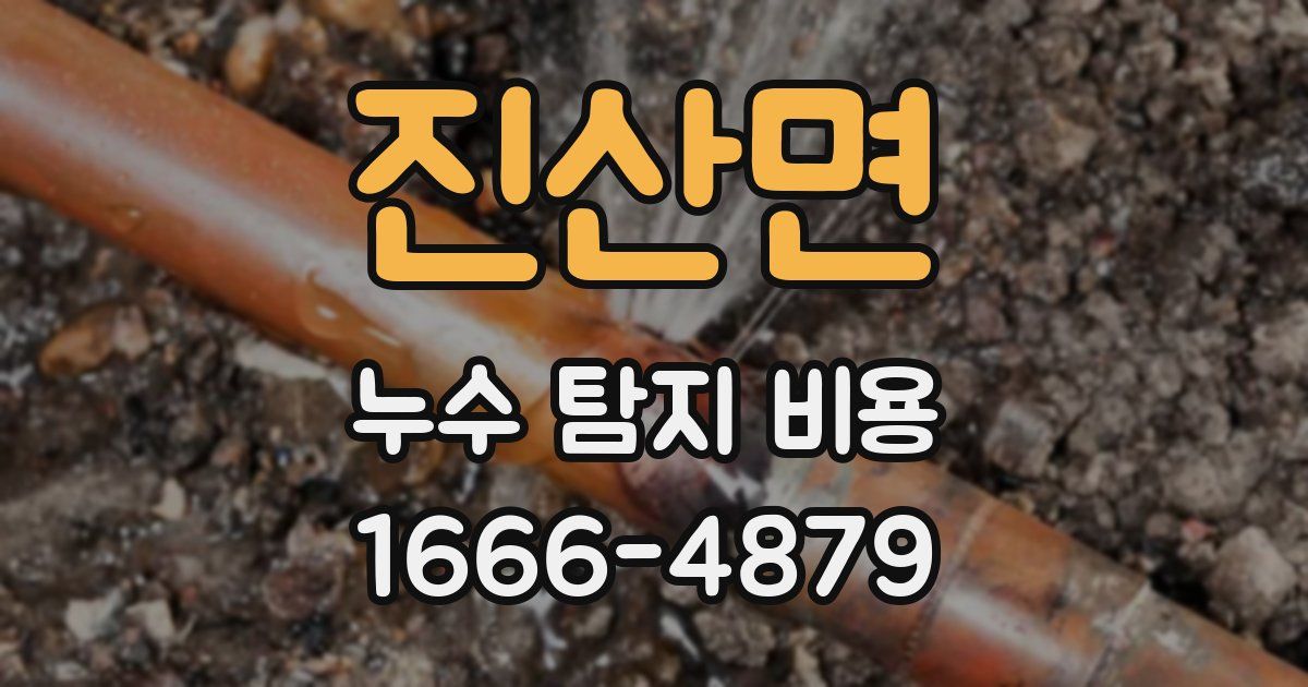 진산면 누수 탐지 비용