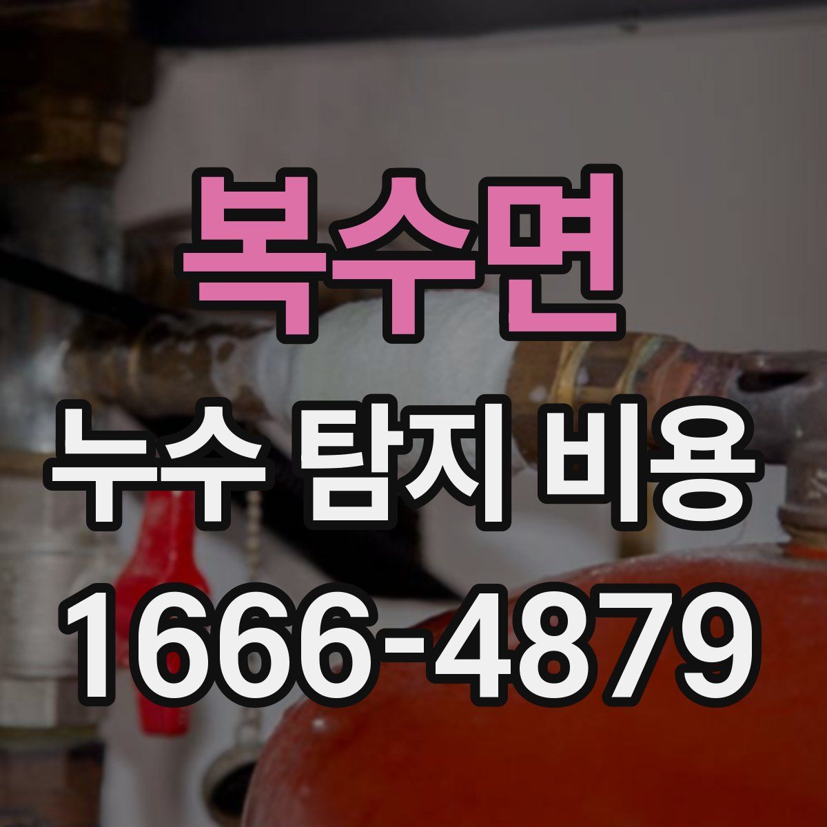 복수면 누수 탐지 비용