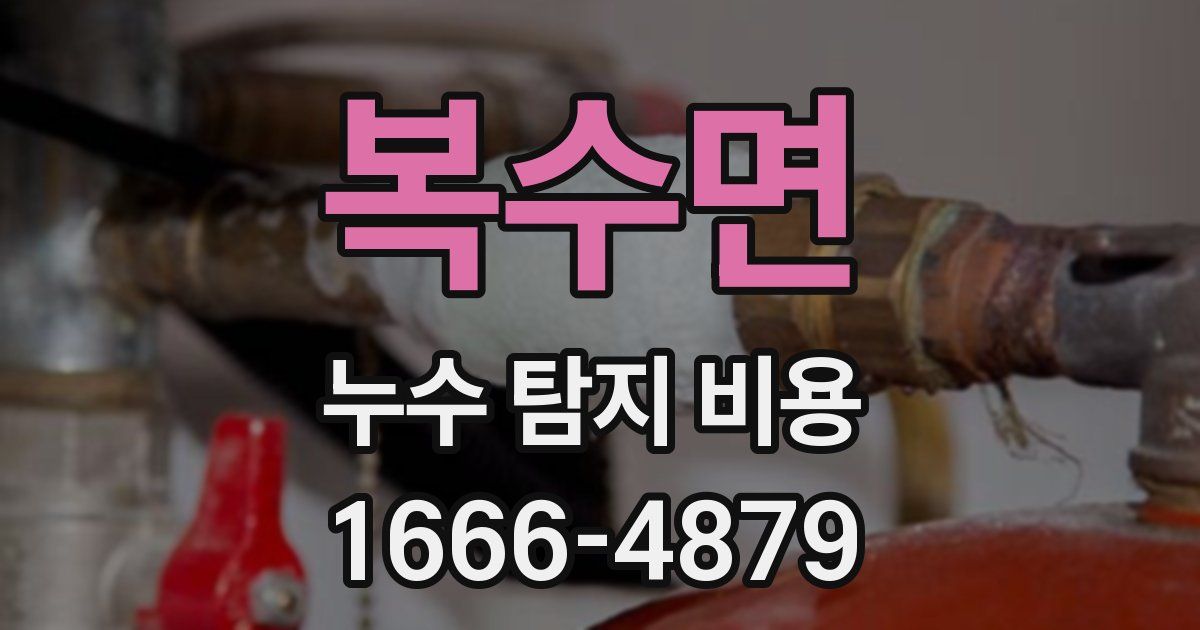 복수면 누수 탐지 비용