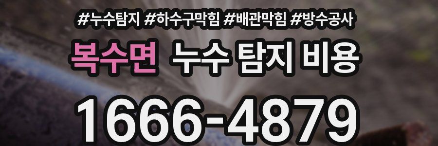 복수면 누수 탐지 비용