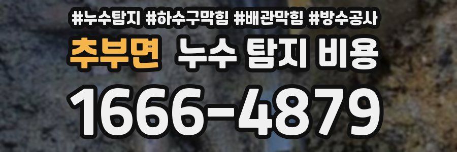 추부면 누수 탐지 비용
