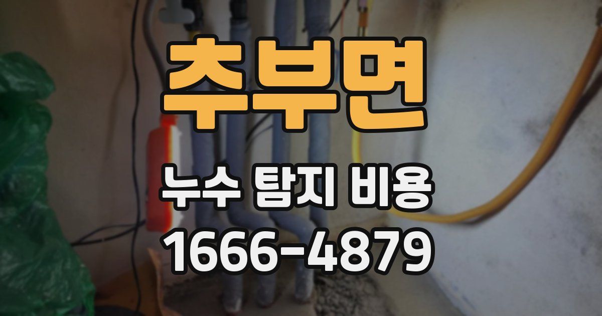 추부면 누수 탐지 비용