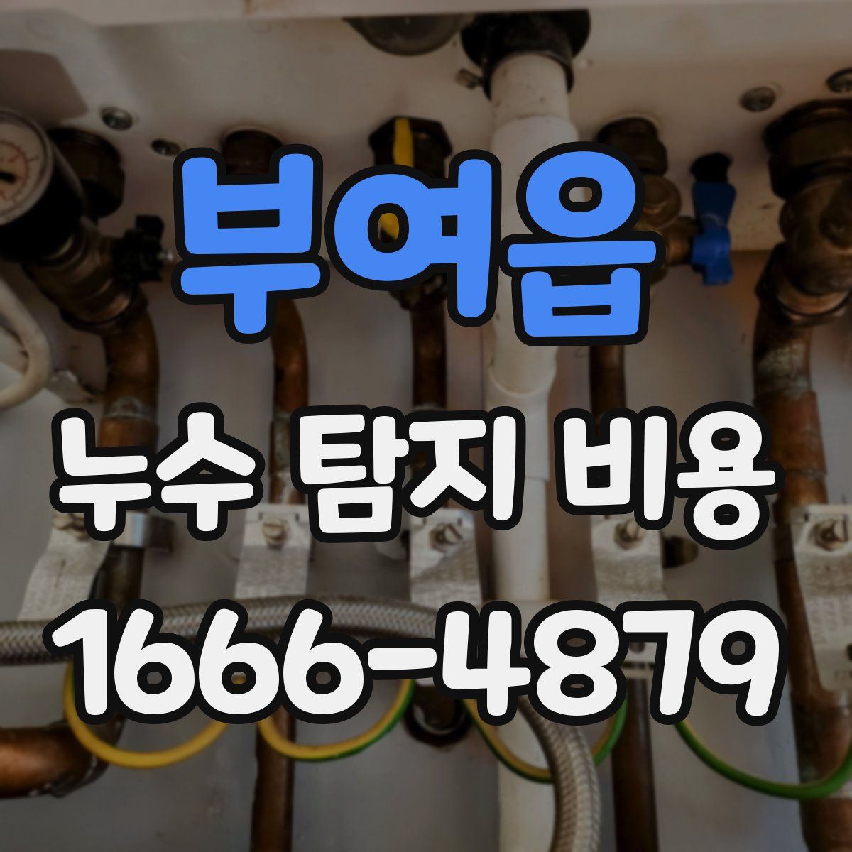 부여읍 누수 탐지 비용