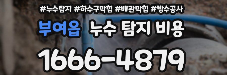 부여읍 누수 탐지 비용