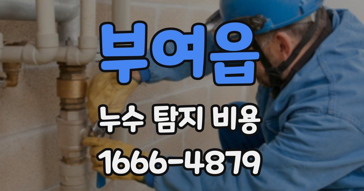 부여읍 누수 탐지 비용