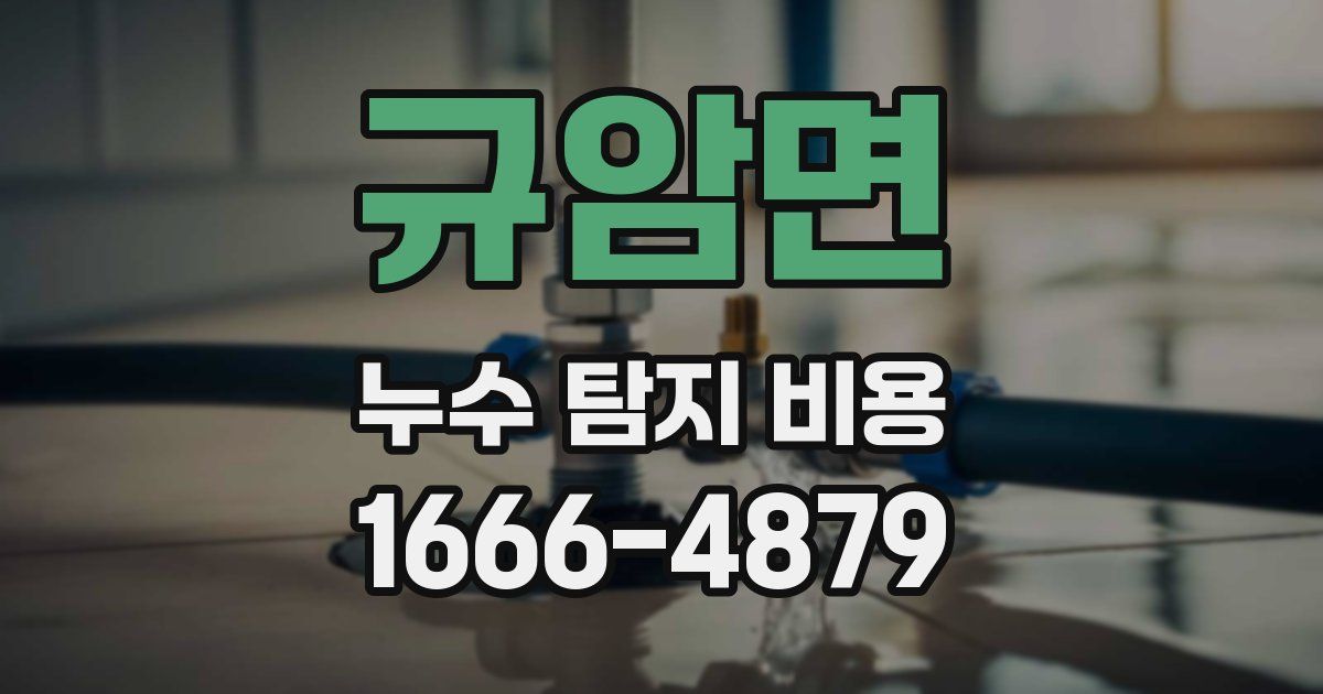규암면 누수 탐지 비용