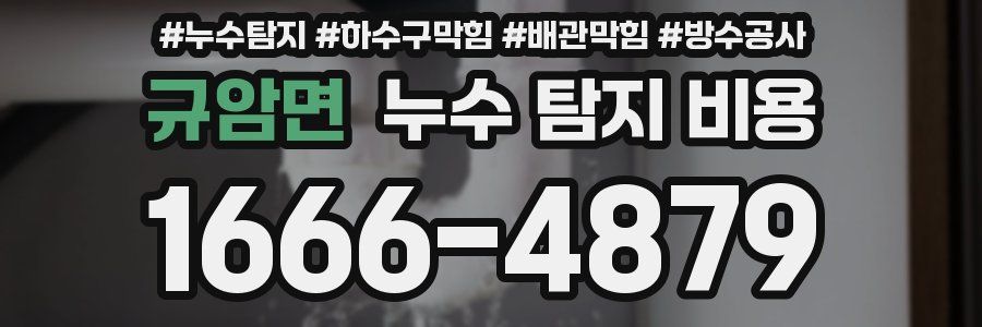 규암면 누수 탐지 비용