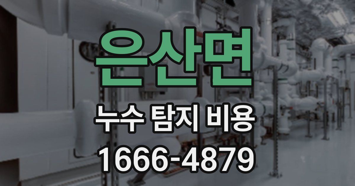 은산면 누수 탐지 비용