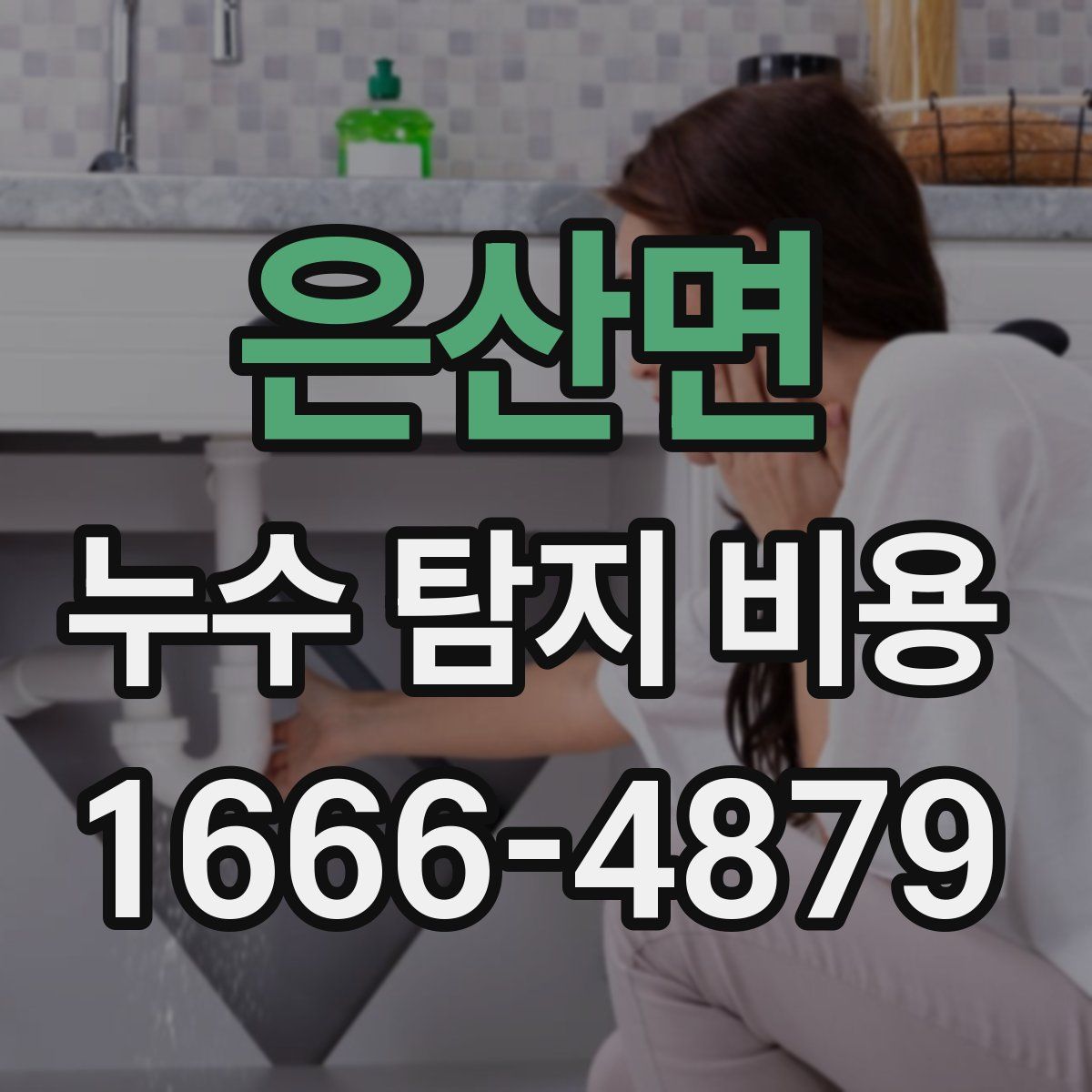 은산면 누수 탐지 비용