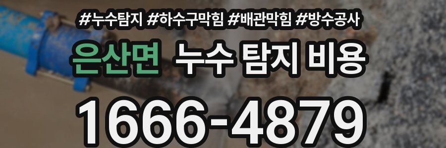 은산면 누수 탐지 비용