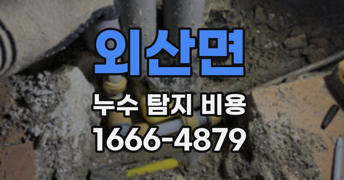 외산면 누수 탐지 비용