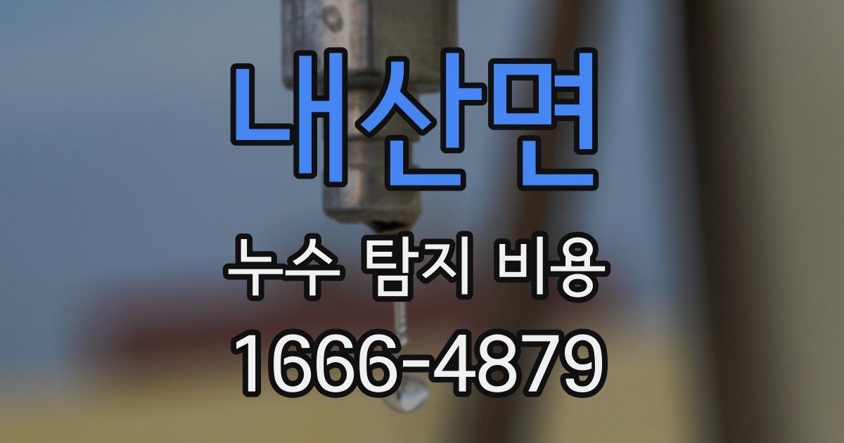 내산면 누수 탐지 비용