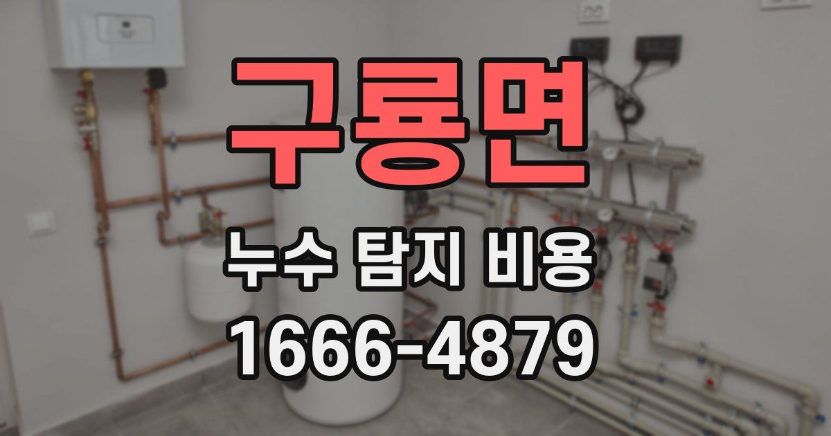 구룡면 누수 탐지 비용