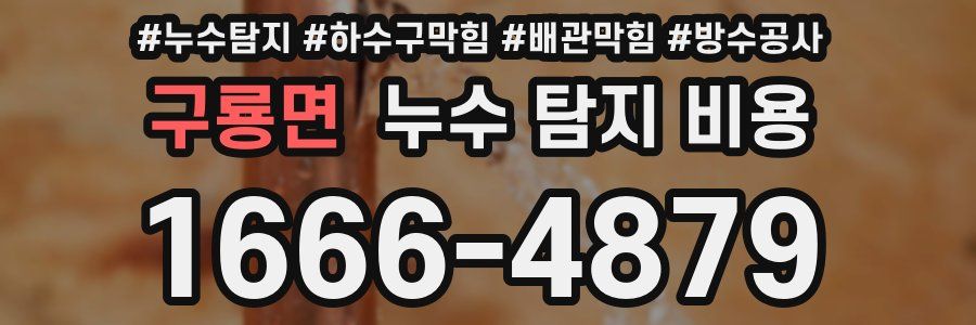 구룡면 누수 탐지 비용
