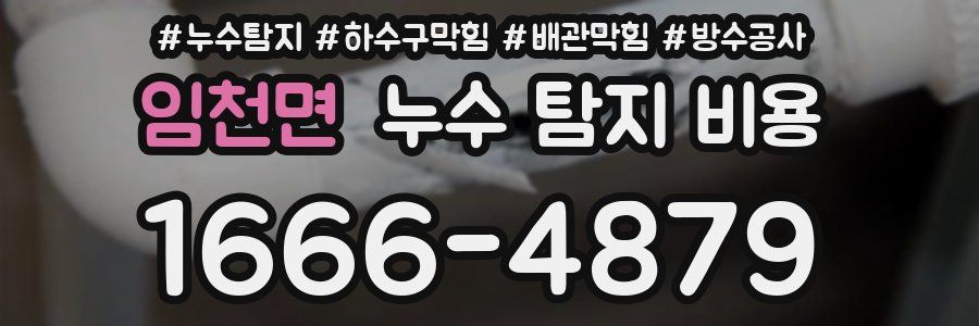 임천면 누수 탐지 비용