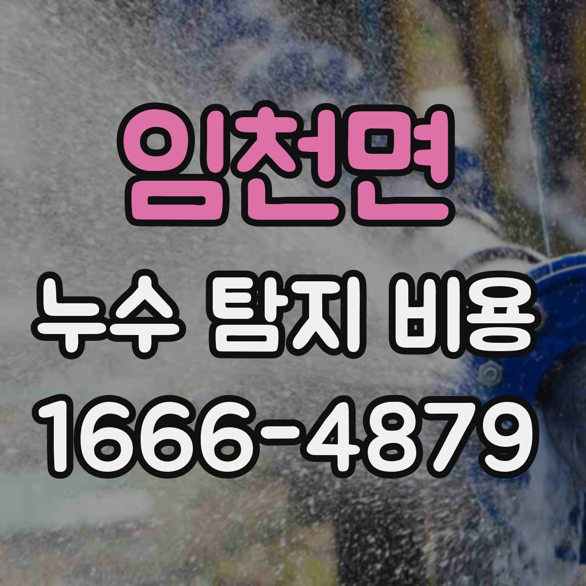 임천면 누수 탐지 비용