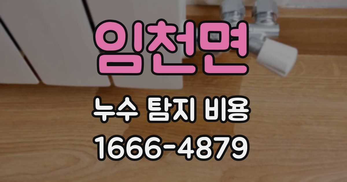 임천면 누수 탐지 비용
